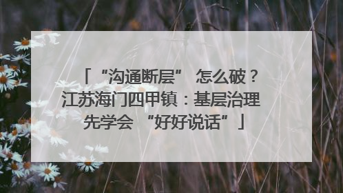 “沟通断层” 怎么破？江苏海门四甲镇：基层治理 先学会 “好好说话”