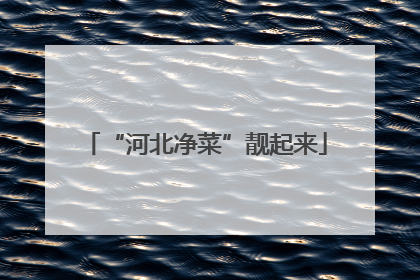 “河北净菜”靓起来
