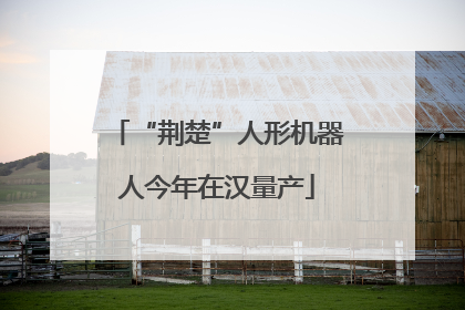 “荆楚”人形机器人今年在汉量产