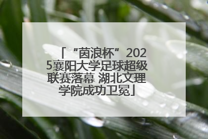 “茵浪杯”2025襄阳大学足球超级联赛落幕 湖北文理学院成功卫冕