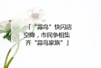 “蒜鸟”快闪店空降，市民争相集齐“蒜鸟家族”