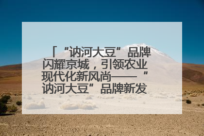 “讷河大豆”品牌闪耀京城，引领农业现代化新风尚——“讷河大豆”品牌新发地推介会圆满落幕
