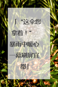 “这伞您拿着！” 暴雨中暖心一幕刷屏宜都