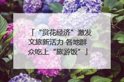 “赏花经济”激发文旅新活力 各地群众吃上“旅游饭”
