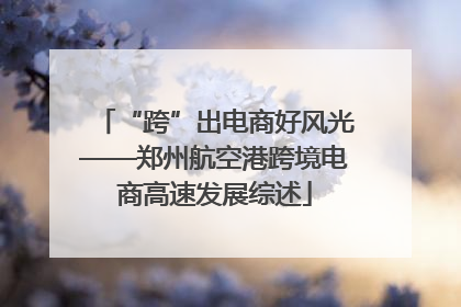 “跨”出电商好风光——郑州航空港跨境电商高速发展综述