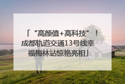 “高颜值+高科技”！成都轨道交通13号线幸福梅林站惊艳亮相