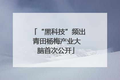 “黑科技”频出 青田杨梅产业大脑首次公开