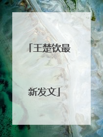 王楚钦最新发文