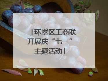 环翠区工商联开展庆“七一”主题活动