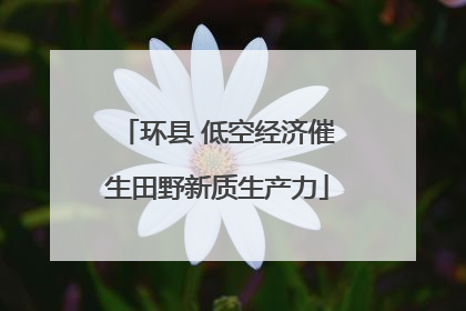 环县 低空经济催生田野新质生产力