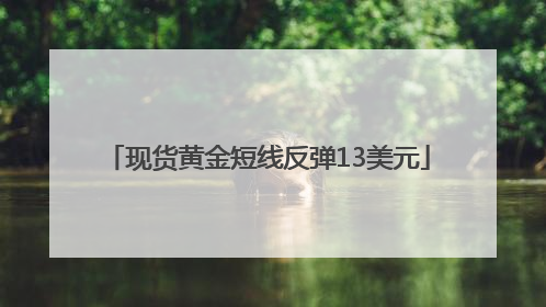 现货黄金短线反弹13美元