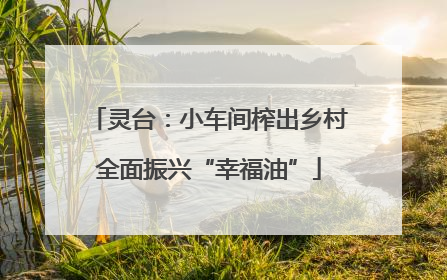 灵台：小车间榨出乡村全面振兴“幸福油”