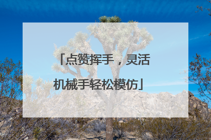 点赞挥手，灵活机械手轻松模仿