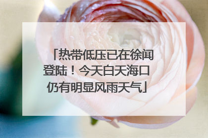 热带低压已在徐闻登陆！今天白天海口仍有明显风雨天气