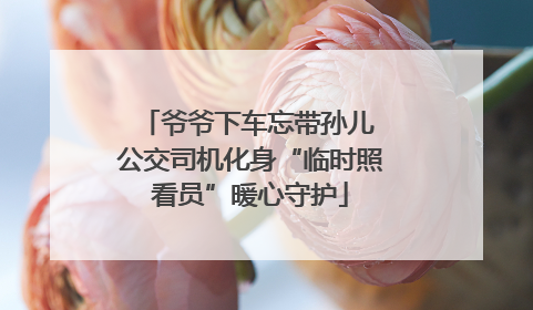爷爷下车忘带孙儿 公交司机化身“临时照看员”暖心守护