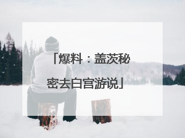 爆料：盖茨秘密去白宫游说