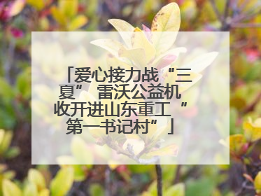 爱心接力战“三夏” 雷沃公益机收开进山东重工“第一书记村”