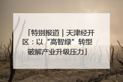 特别报道｜天津经开区：以“高智绿”转型破解产业升级压力