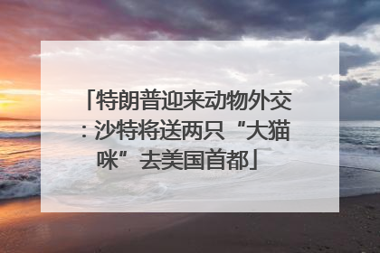 特朗普迎来动物外交：沙特将送两只“大猫咪”去美国首都