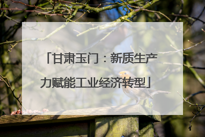 甘肃玉门：新质生产力赋能工业经济转型