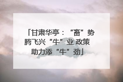 甘肃华亭：“畜”势腾飞兴“牛”业 政策助力添“牛”劲