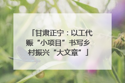 甘肃正宁：以工代赈“小项目”书写乡村振兴“大文章”