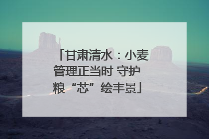 甘肃清水：小麦管理正当时 守护粮“芯”绘丰景