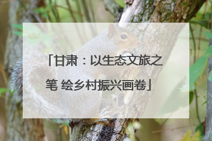 甘肃：以生态文旅之笔 绘乡村振兴画卷