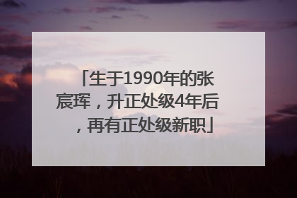 生于1990年的张宸珲，升正处级4年后，再有正处级新职