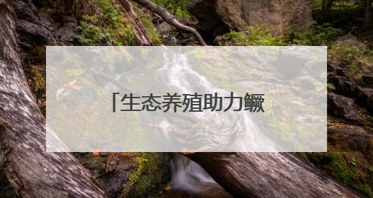 生态养殖助力鳜鱼变“网红”
