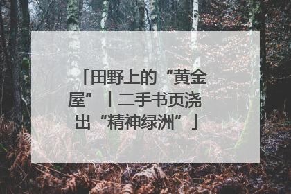 田野上的“黄金屋”丨二手书页浇出“精神绿洲”