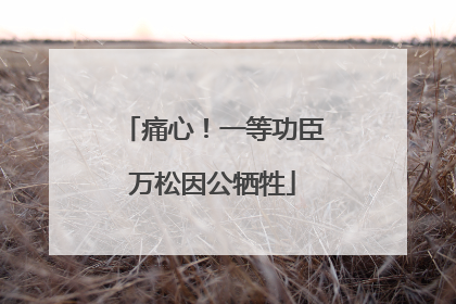 痛心！一等功臣万松因公牺牲
