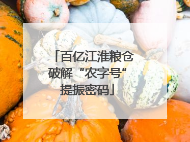百亿江淮粮仓破解“农字号”提振密码