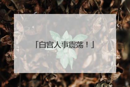 白宫人事震荡！
