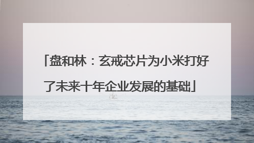 盘和林：玄戒芯片为小米打好了未来十年企业发展的基础