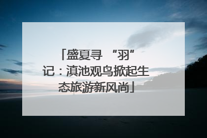 盛夏寻 “羽” 记：滇池观鸟掀起生态旅游新风尚