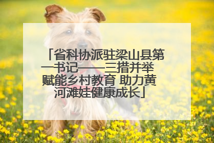 省科协派驻梁山县第一书记——三措并举 赋能乡村教育 助力黄河滩娃健康成长
