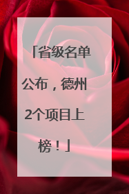 省级名单公布，德州2个项目上榜！