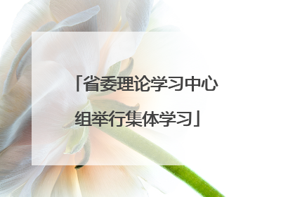 省委理论学习中心组举行集体学习