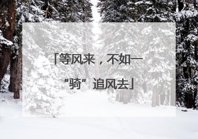 等风来，不如一“骑”追风去