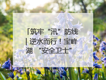筑牢“汛”防线｜逆水而行！宝峰湖 “安全卫士” 出鞘 防汛应急再添硬核力量