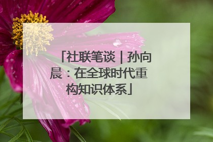 社联笔谈｜孙向晨：在全球时代重构知识体系