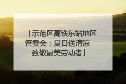 示范区高铁东站地区管委会：夏日送清凉 致敬最美劳动者