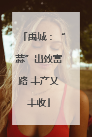 禹城：“蒜”出致富路 丰产又丰收