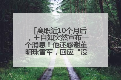 离职近10个月后，王自如突然宣布一个消息！他还感谢董明珠雷军，回应“没看过格力工资条”：真的不那么重要！