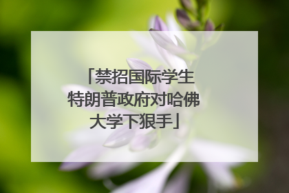 禁招国际学生 特朗普政府对哈佛大学下狠手