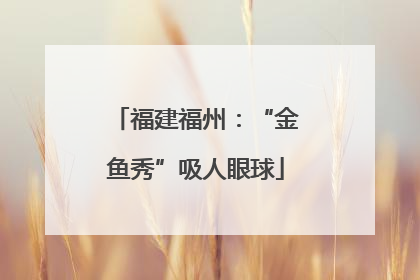 福建福州：“金鱼秀”吸人眼球