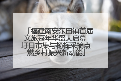 福建南安东田镇首届文旅嘉年华盛大启幕 圩日市集与杨梅采摘点燃乡村振兴新动能
