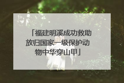 福建明溪成功救助放归国家一级保护动物中华穿山甲
