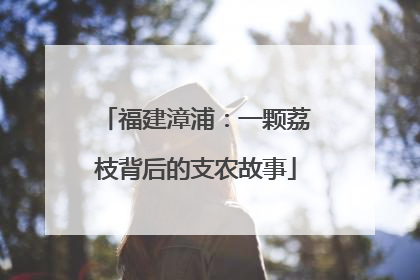 福建漳浦：一颗荔枝背后的支农故事